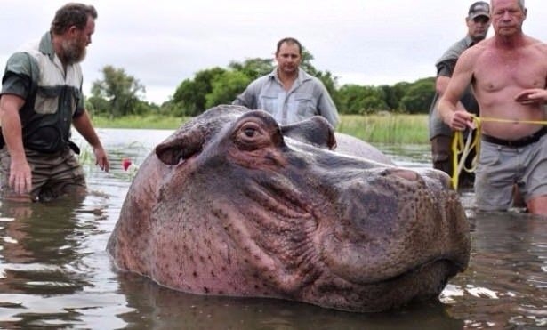 Daha önce böylesini görmediniz! 59