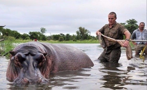 Daha önce böylesini görmediniz! 60