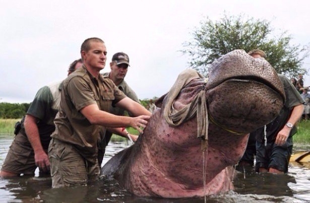 Daha önce böylesini görmediniz! 61