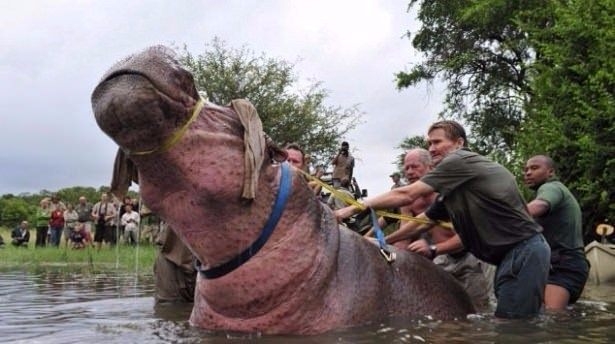 Daha önce böylesini görmediniz! 62