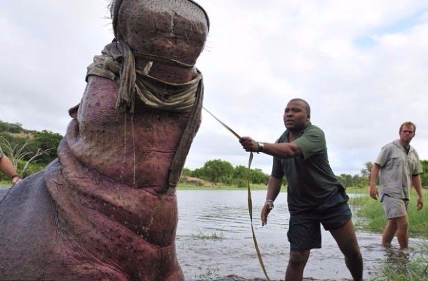 Daha önce böylesini görmediniz! 64