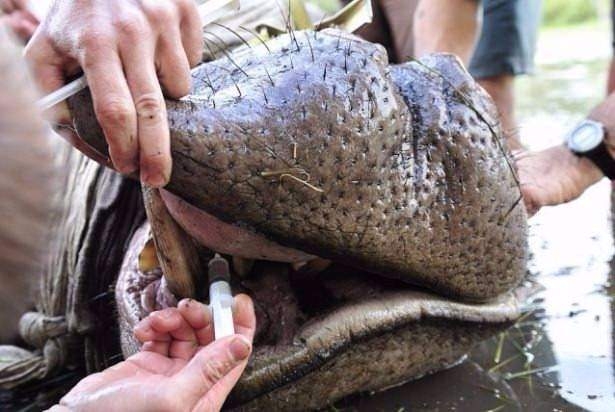 Daha önce böylesini görmediniz! 65