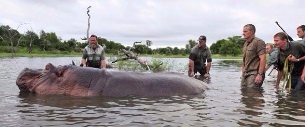Daha önce böylesini görmediniz! 66