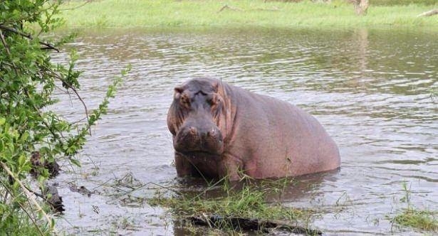 Daha önce böylesini görmediniz! 67