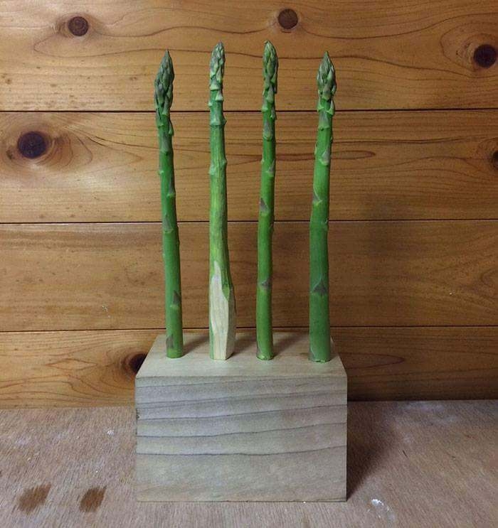 Ağaçtan oyduğu yiyecek figürleri insanı şaşırtıyor! 14