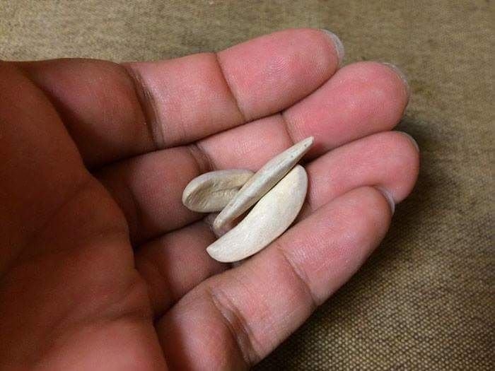 Ağaçtan oyduğu yiyecek figürleri insanı şaşırtıyor! 19