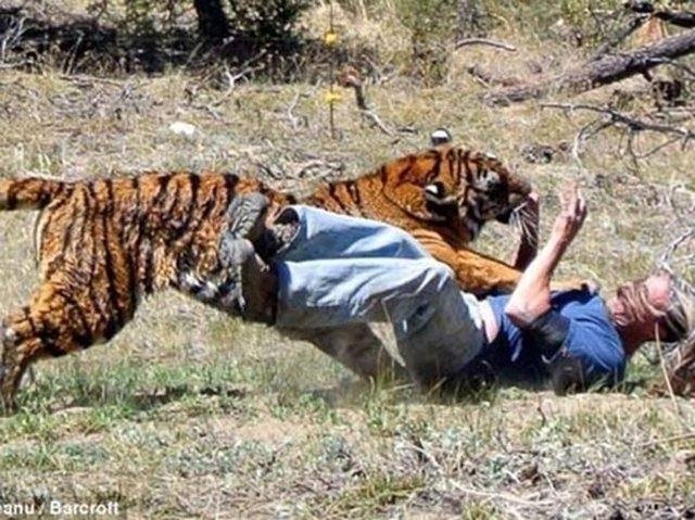 Vahşi yaşamın acımasızlığı 38