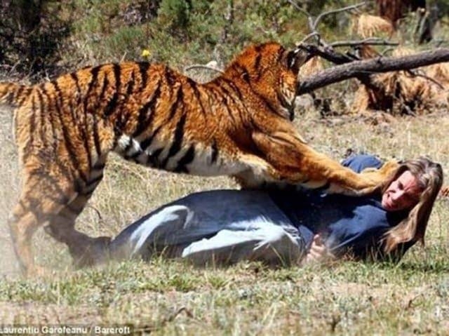 Vahşi yaşamın acımasızlığı 39