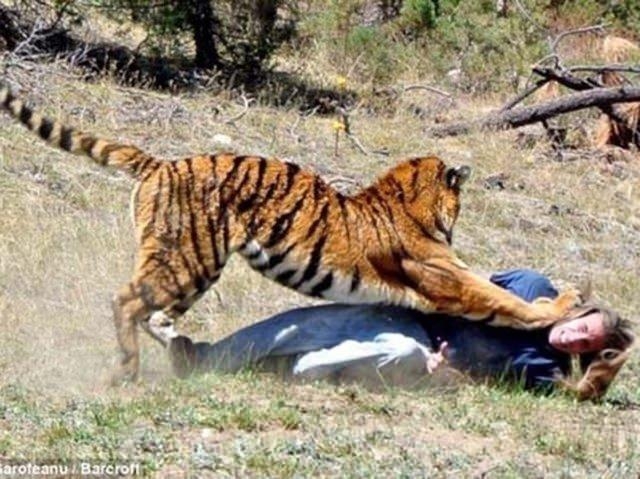 Vahşi yaşamın acımasızlığı 41