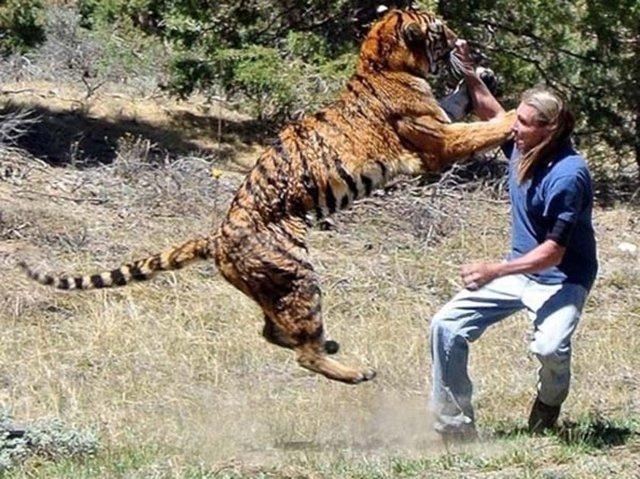 Vahşi yaşamın acımasızlığı 44