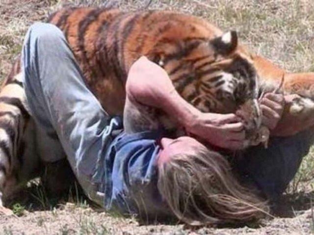 Vahşi yaşamın acımasızlığı 45