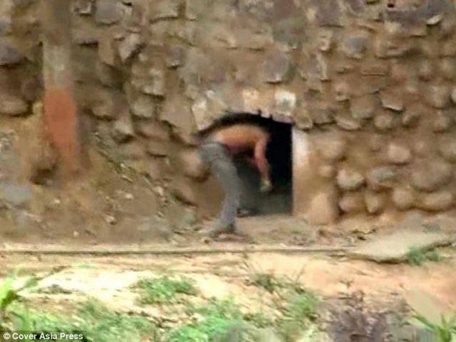 Vahşi yaşamın acımasızlığı 57