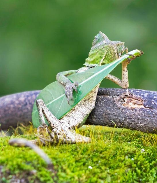 Bu fotoğraflara bakan bir daha bakıyor 1