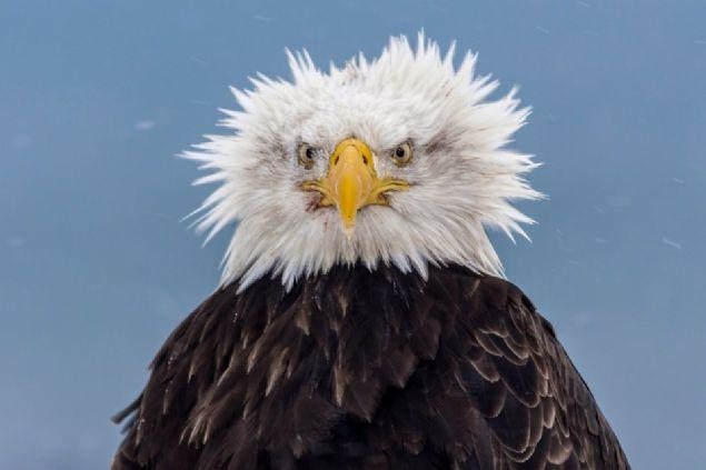 Bu fotoğraflara bakan bir daha bakıyor 23