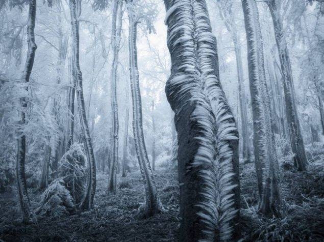 Bu fotoğraflara bakan bir daha bakıyor 27