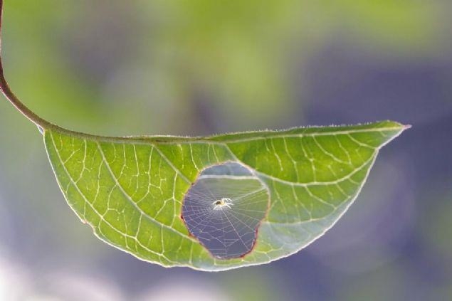 Bu fotoğraflara bakan bir daha bakıyor 3