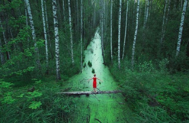 Bu fotoğraflara bakan bir daha bakıyor 40