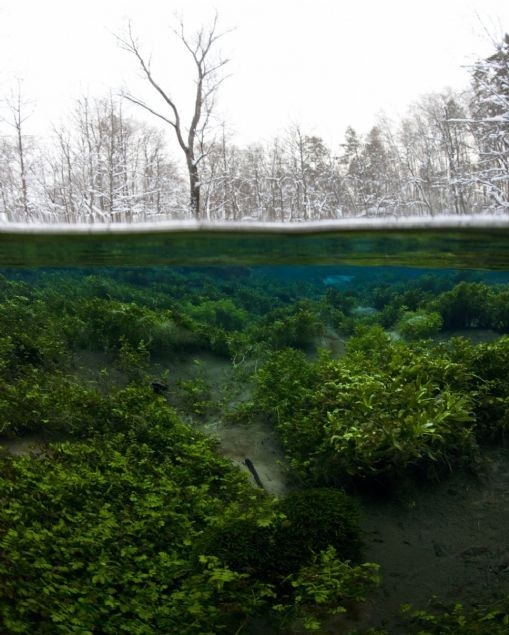 Bu fotoğraflara bakan bir daha bakıyor 41