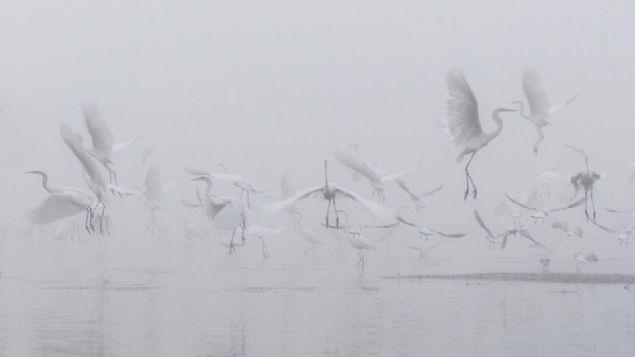 Bu fotoğraflara bakan bir daha bakıyor 46