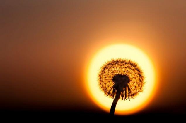 Bu fotoğraflara bakan bir daha bakıyor 47