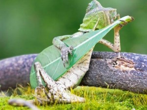 Bu fotoğraflara bakan bir daha bakıyor