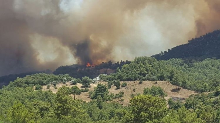 Tatil cenneti alev alev yanıyor! 12