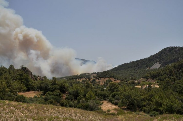 Tatil cenneti alev alev yanıyor! 2