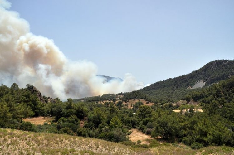 Tatil cenneti alev alev yanıyor! 20