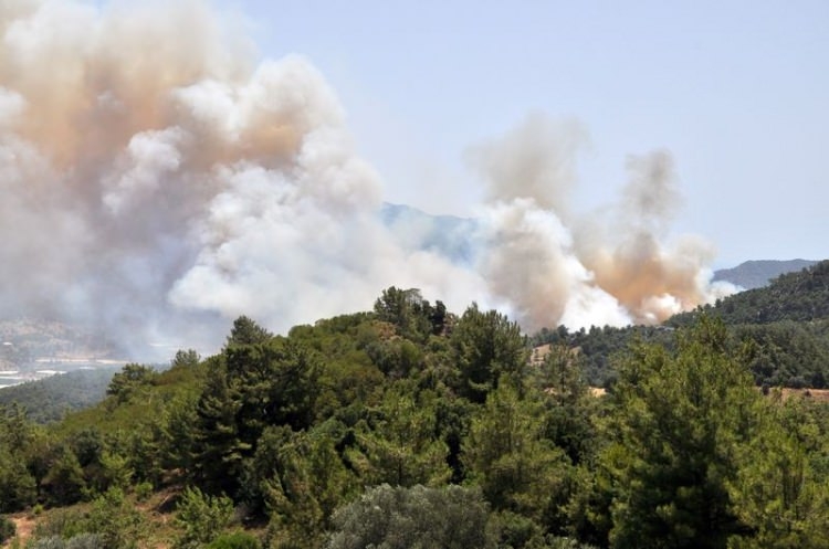 Tatil cenneti alev alev yanıyor! 21