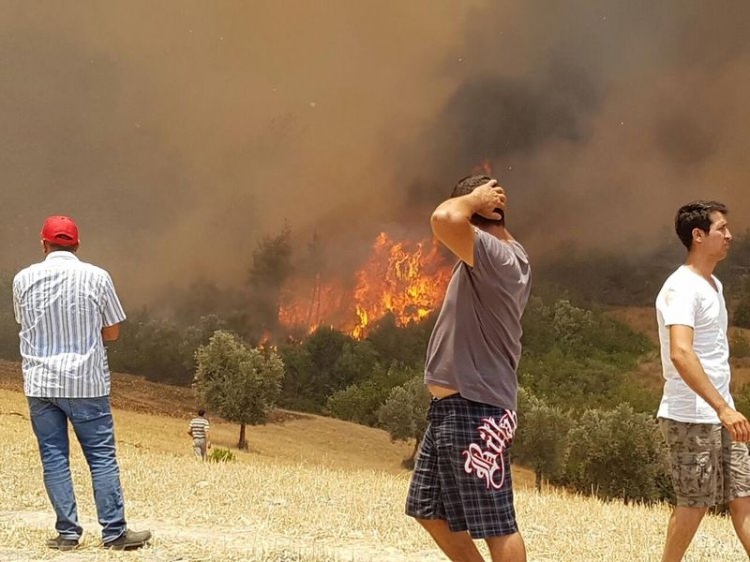 Tatil cenneti alev alev yanıyor! 28