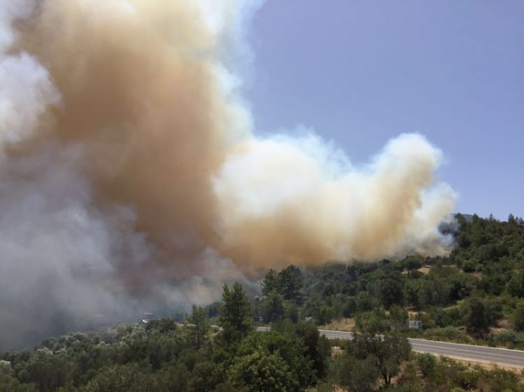 Tatil cenneti alev alev yanıyor! 29