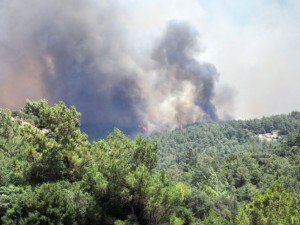 Tatil cenneti alev alev yanıyor!