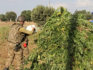 PKK'dan hain talimat: Hepsini yakın