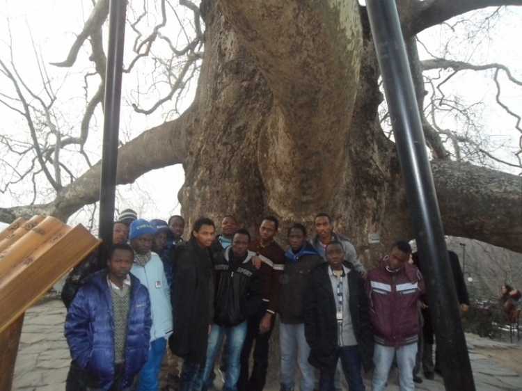 Türkiye'nin en iyi 10 İmam Hatip Lisesi 44