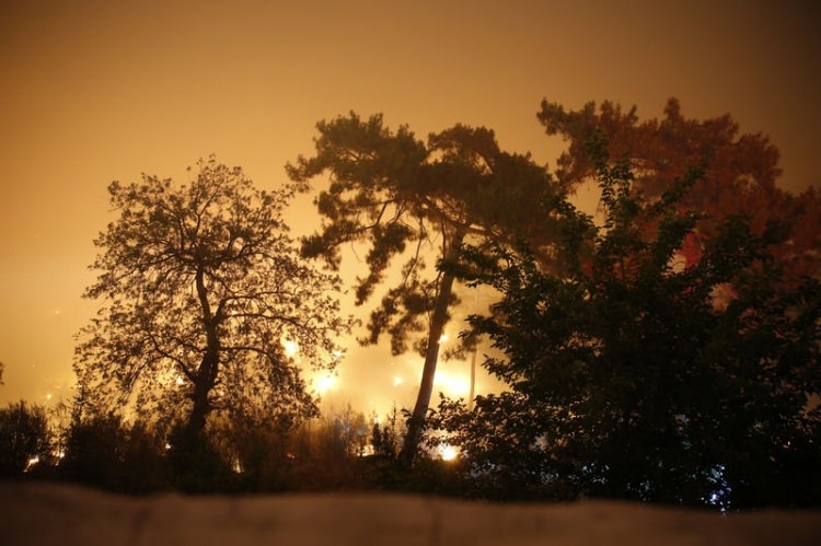 Dünyanın cesaret edemediğini Türkiye yaptı 1