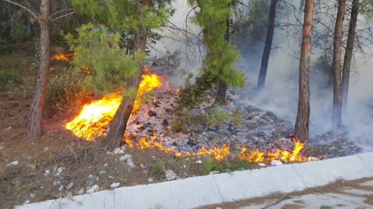 Dünyanın cesaret edemediğini Türkiye yaptı 100