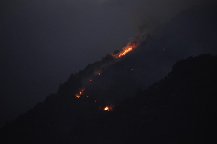 Dünyanın cesaret edemediğini Türkiye yaptı 102