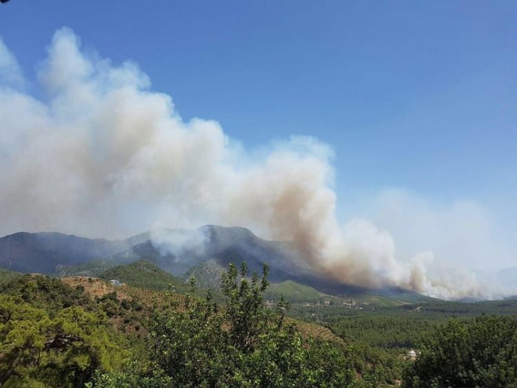 Dünyanın cesaret edemediğini Türkiye yaptı 14