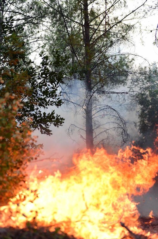 Dünyanın cesaret edemediğini Türkiye yaptı 20