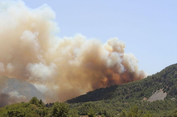 Dünyanın cesaret edemediğini Türkiye yaptı 28