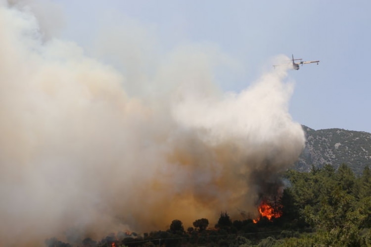 Dünyanın cesaret edemediğini Türkiye yaptı 34