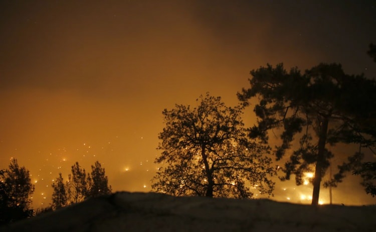 Dünyanın cesaret edemediğini Türkiye yaptı 35