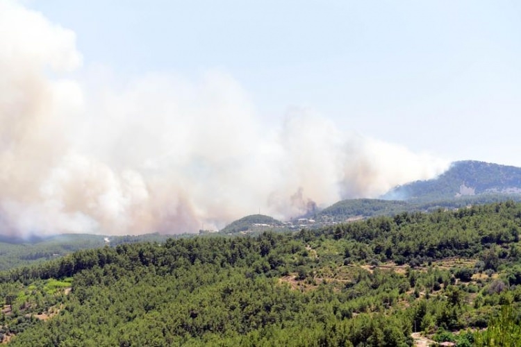 Dünyanın cesaret edemediğini Türkiye yaptı 36