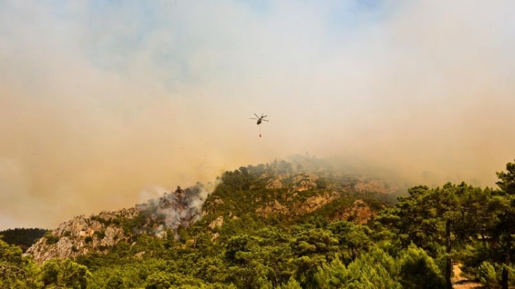 Dünyanın cesaret edemediğini Türkiye yaptı 40