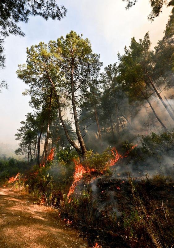 Dünyanın cesaret edemediğini Türkiye yaptı 41