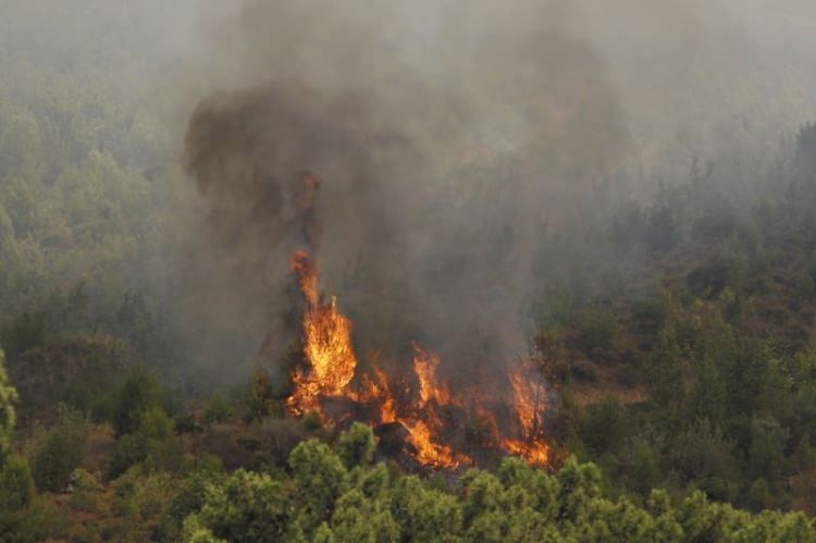 Dünyanın cesaret edemediğini Türkiye yaptı 45