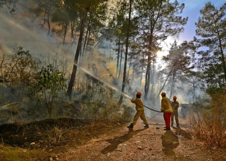 Dünyanın cesaret edemediğini Türkiye yaptı 46