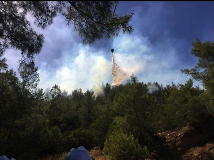 Dünyanın cesaret edemediğini Türkiye yaptı 49
