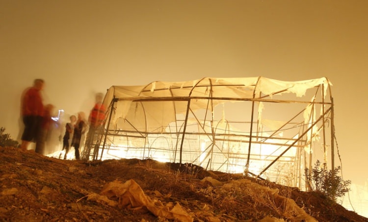 Dünyanın cesaret edemediğini Türkiye yaptı 50
