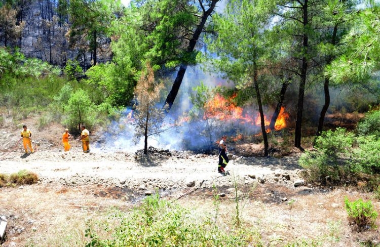 Dünyanın cesaret edemediğini Türkiye yaptı 51